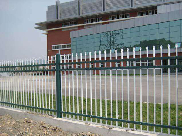学校锌钢护栏 - 安平县贝纳丰丝网制品有限公司图片1