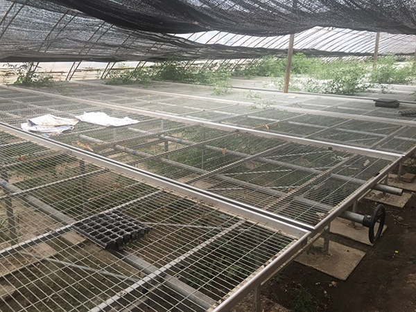 苗床网片 - 安平县贝纳丰丝网制品有限公司图片3